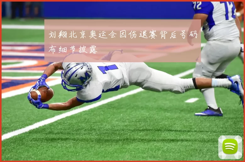 刘翔北京奥运会因伤退赛背后号码布细节披露