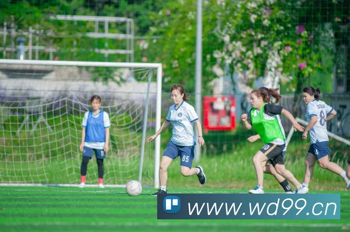 KOK网页版官方网站 - kok(中国)APP 高清赛事图